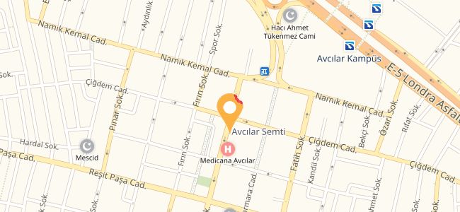 Sarı & Beyaz Pilavcısı, Avcılar