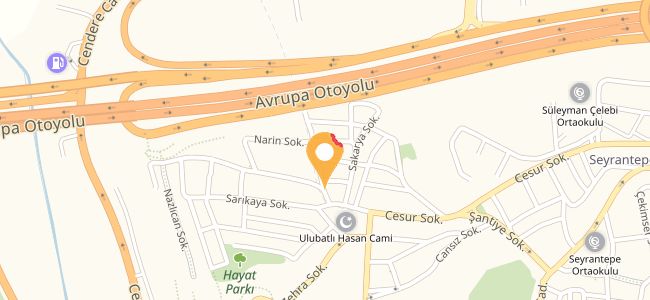 Saray Kebap, Seyrantepe