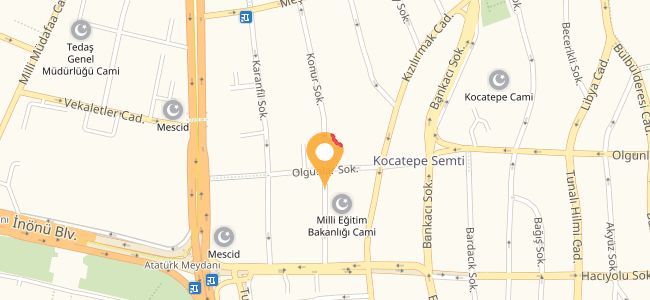 Sudem Cafe & Pub, Olgunlar